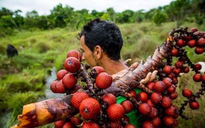 Así es cómo se vive y se cuida la Amazonía