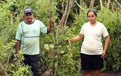 Cómo afecta el coronavirus a las familias del Araguaia