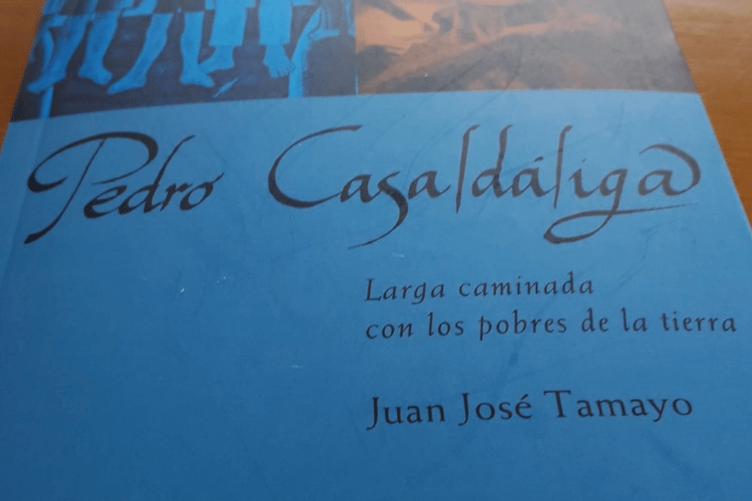 Libro sobre Casaldaliga de Tamayo